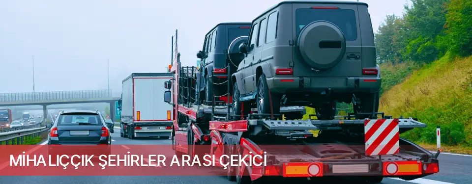 Mihalıççık İlçemi Şehirler Arası Çekici